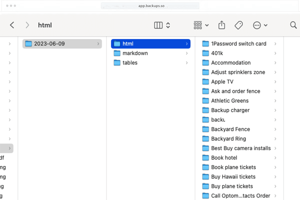 detailed notion backups